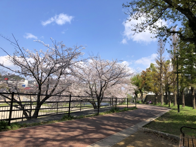 野間大池公園